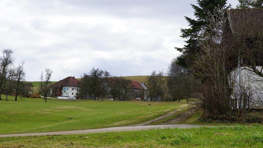 Amtszeiten - Waldzell - Ris-Kommunal - Startseite